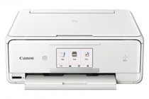 Canon pixma TS8051 inkt cartridges